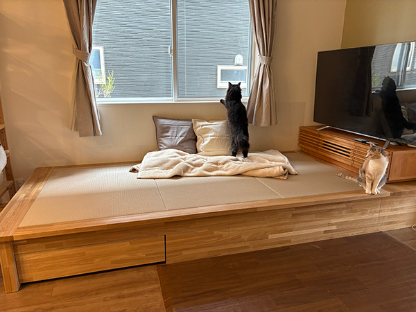 後付け 収納 小上がり ヌック 収納 おしゃれ デザイン 畳ベッド 飛騨フォレスト 畳ヶ丘 オーダー 日本製 ヘリ無し畳 ダイケン オイル仕上げ 図面 壁2面 灰桜色 猫 引き出し